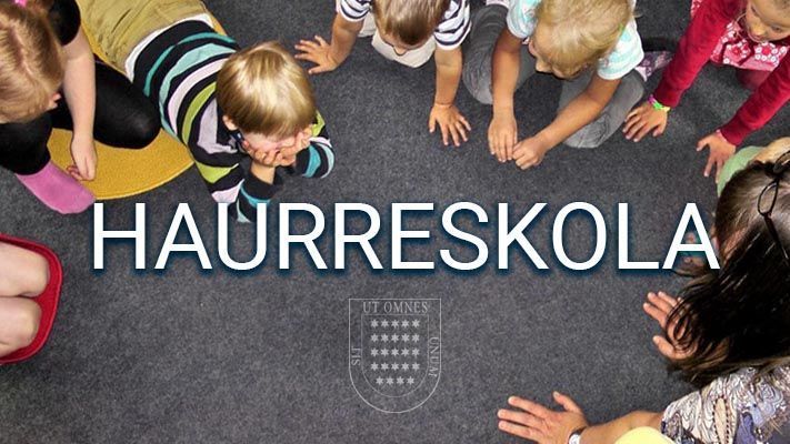 Preinscripción para conocer la necesidad de Haurreskola
