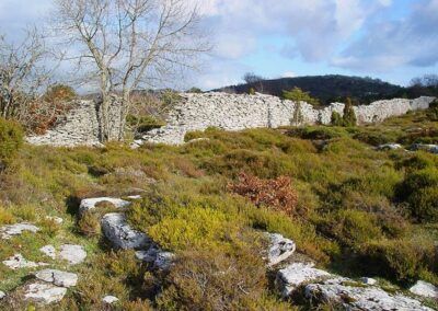 Lobera de Barrón (Barrón)