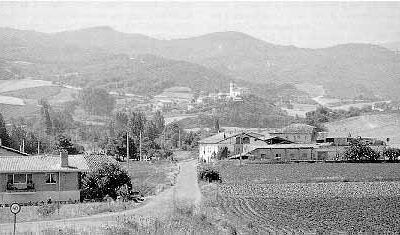Mimbredo