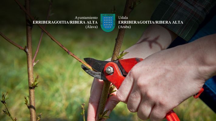 Recogida de podas