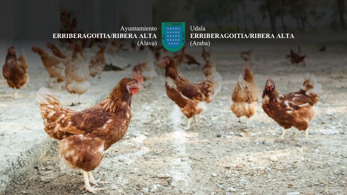 Registro de Corrales Avícolas