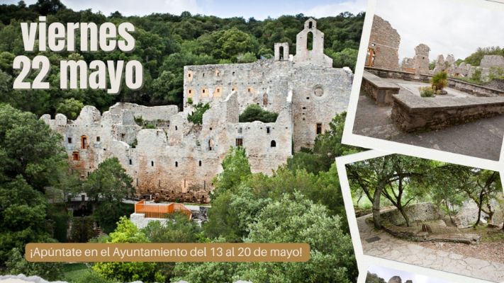 Visita guiada Jardín Botánico de Santa Catalina + Comida